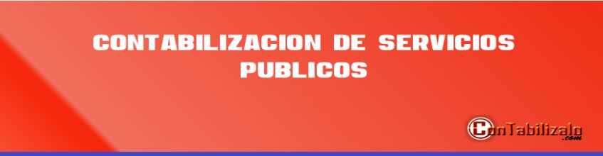 Contabilización de Servicios Públicos