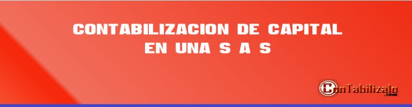 Contabilización de Capital en una S.A.S.