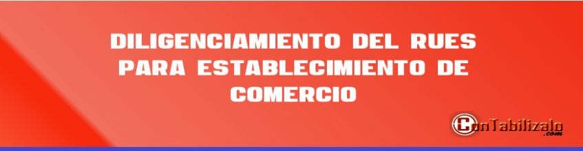 Diligenciamiento del RUES para establecimiento de comercio