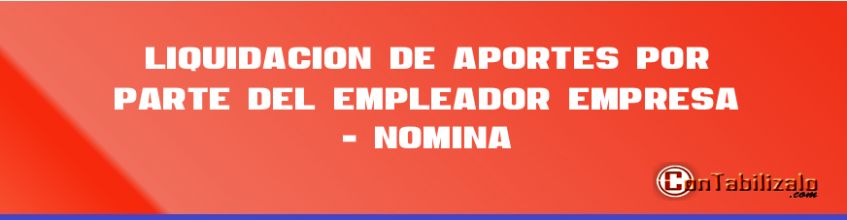 Liquidación de aportes por parte del empleador, Empresa - Nómina