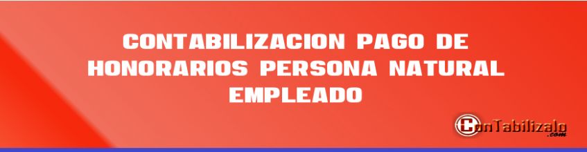 Contabilización  pago de honorarios  persona natural empleado