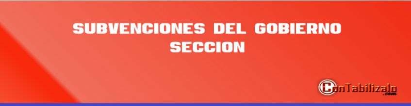 Subvenciones del Gobierno Sección 24