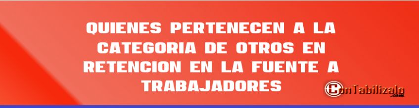 Quienes pertenecen a la Categoría de Otros en Retención en la Fuente a Trabajadores