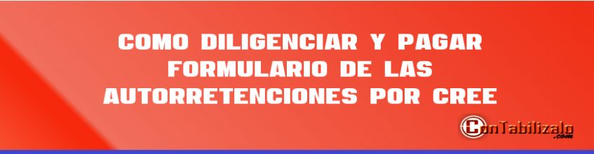 Como Diligenciar y Pagar Formulario de las Autorretenciones por CREE