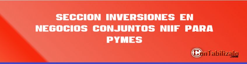 Sección 15 Inversiones en Negocios Conjuntos NIIF para PYMES