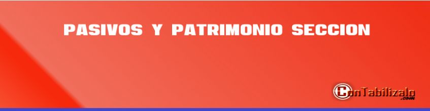 Pasivos y Patrimonio Sección 22