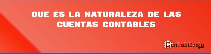 Que Es La Naturaleza de Las Cuentas Contables