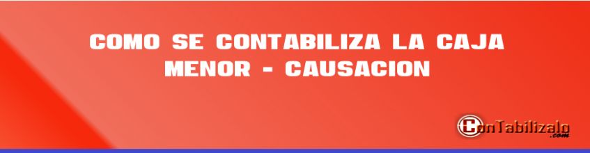 Como se contabiliza la Caja Menor - Causación