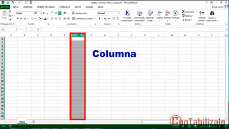 uso de columnas en excel